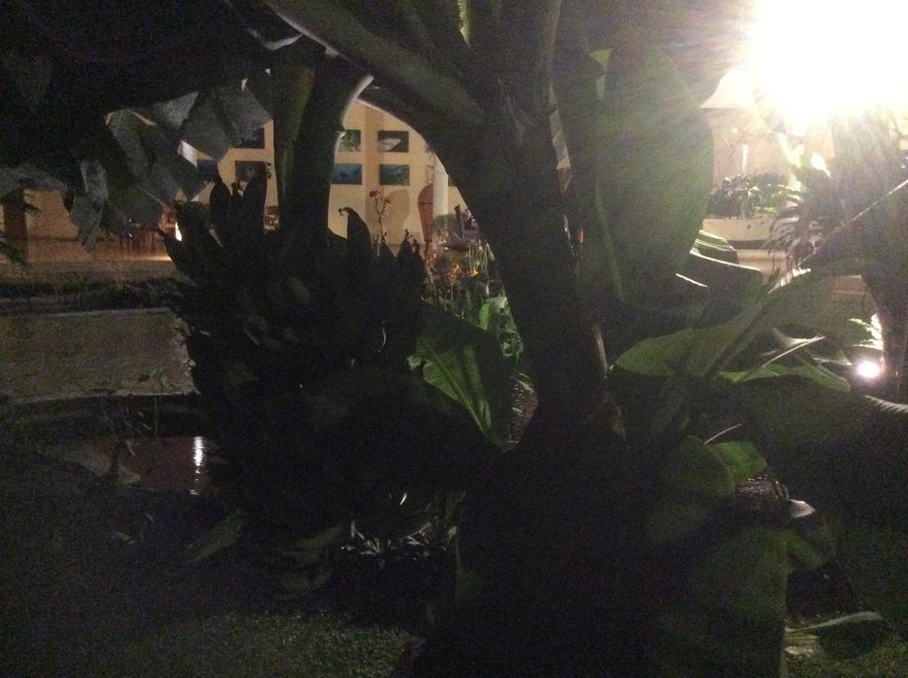 Villa Costa Plenty Sanur  Exterior photo